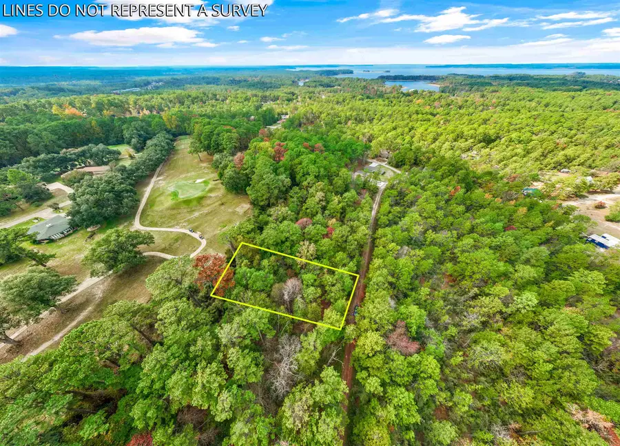 180 Brightberry Ct, Brookeland, TX 75931 - #3