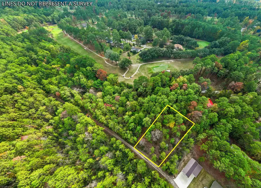 130 Brightberry Ct, Brookeland, TX 75931 - #3