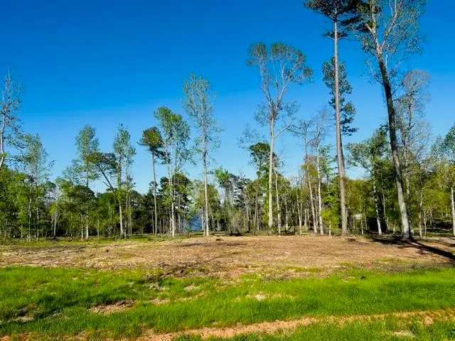 897 Nine Mile Road, Milam, TX 75959 - Image #2