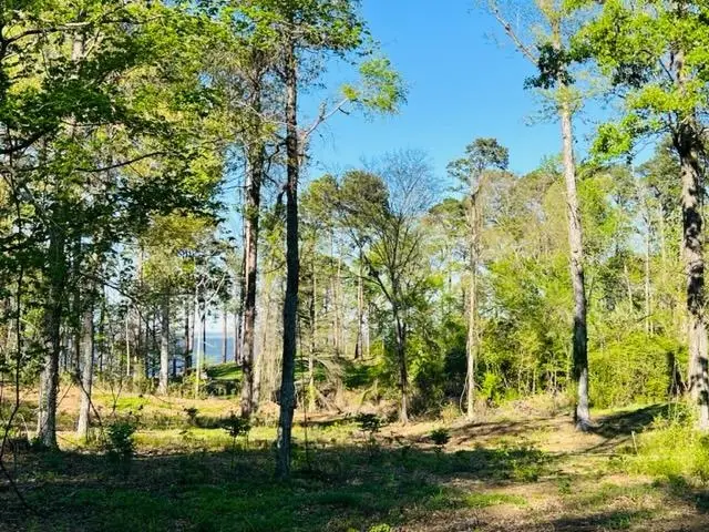 744 Nine Mile Road, Milam, TX 75959 - Image #2