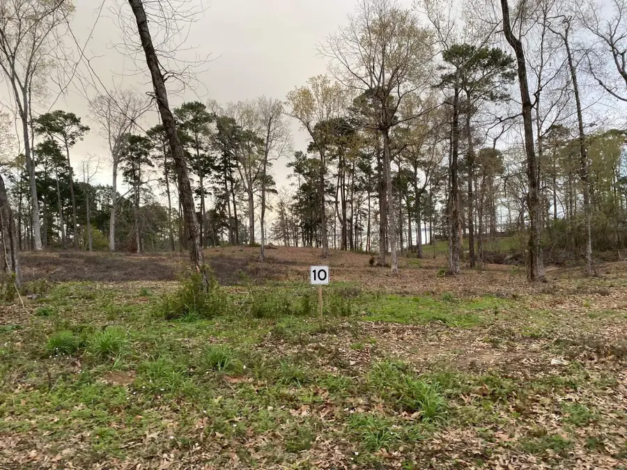 744 Nine Mile Road, Milam, TX 75959 - Image #3