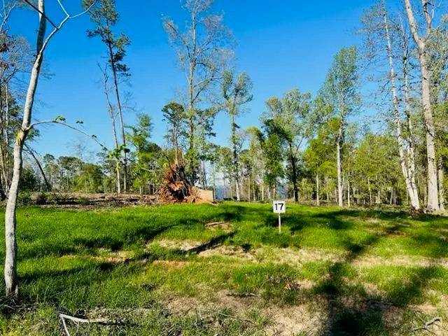 859 Nine Mile Road, Milam, TX 75959 - Image #2