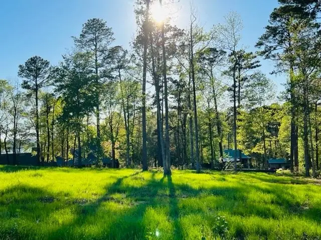 207 Rebel Cove, Milam, TX 75959 - Image #2