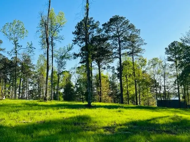 207 Rebel Cove, Milam, TX 75959 - Image #3