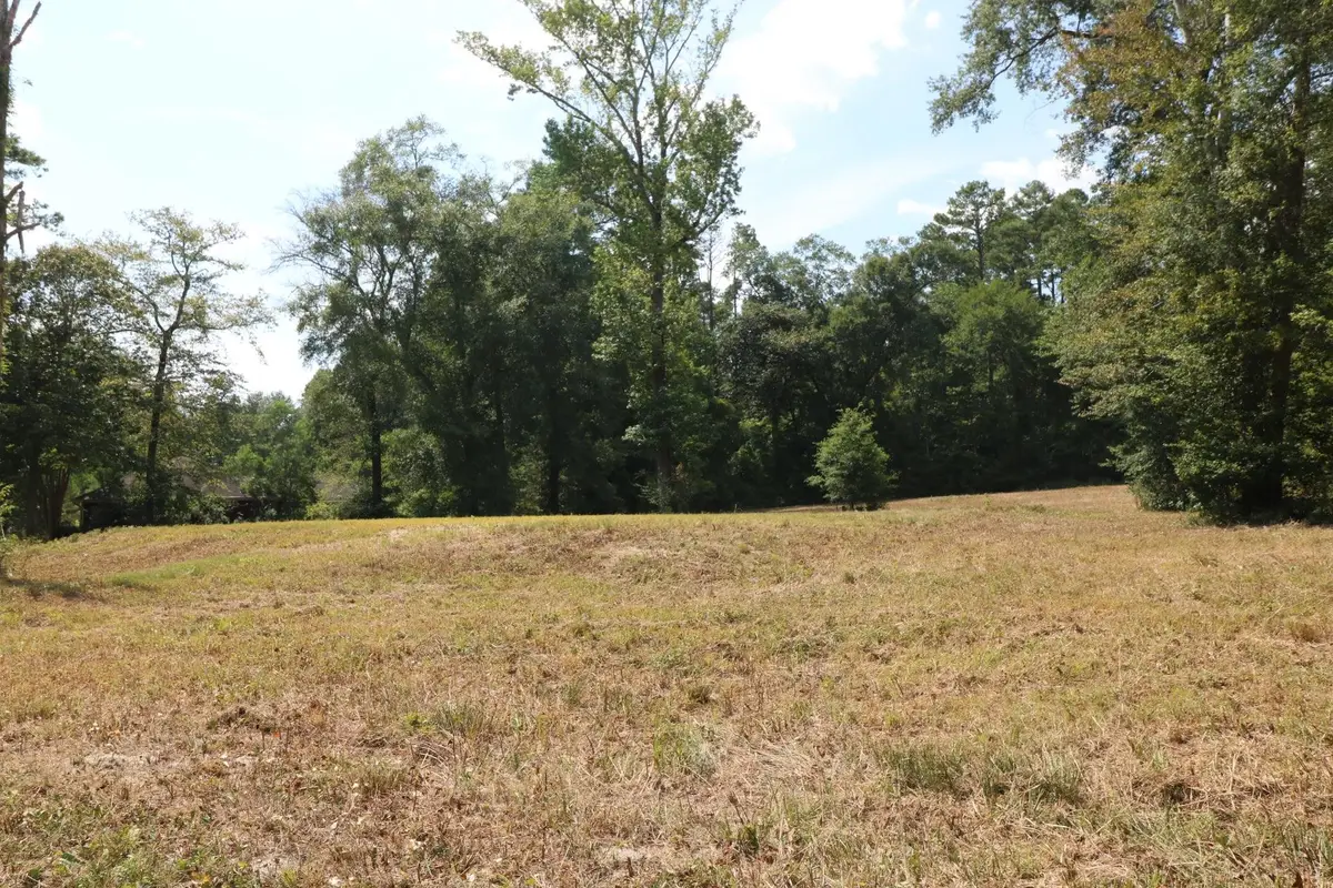 Lots 3-4,18-20 Willow Drive, Jasper, TX 75951 - Image #1