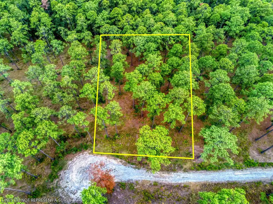 Tract 1-35 Pr 6026, Brookeland, TX 75931 - #2