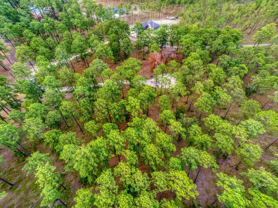 Tract 1-35 Pr 6026, Brookeland, TX 75931 - #3