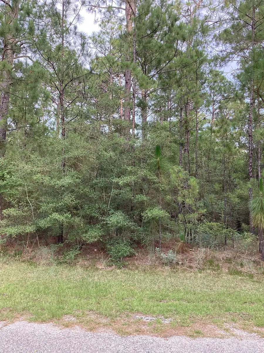 32 Pine Hollow Cove, Brookeland, TX 75931 - Image #3