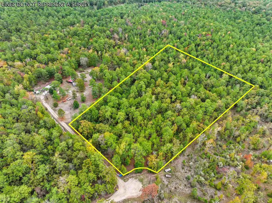 923 Deer Park Drive, Brookeland, TX 75931 - Image #2