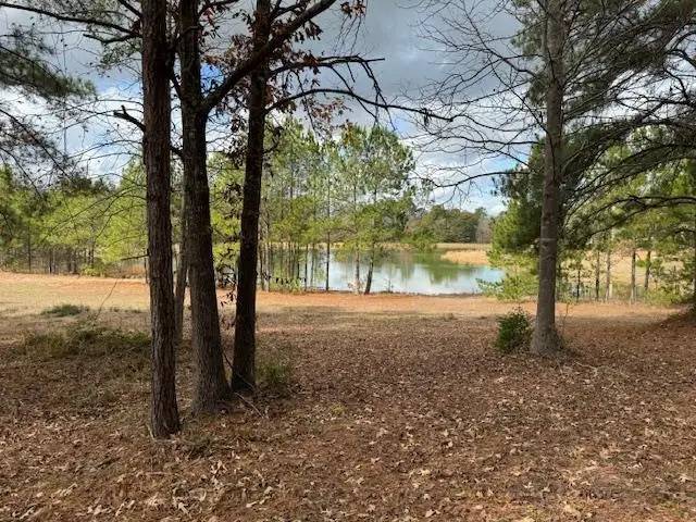 476 County Road 173, Jasper, TX 75951 - Image #3