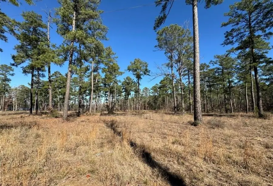 057 Pr 6028, Brookeland, TX 75931 - #2