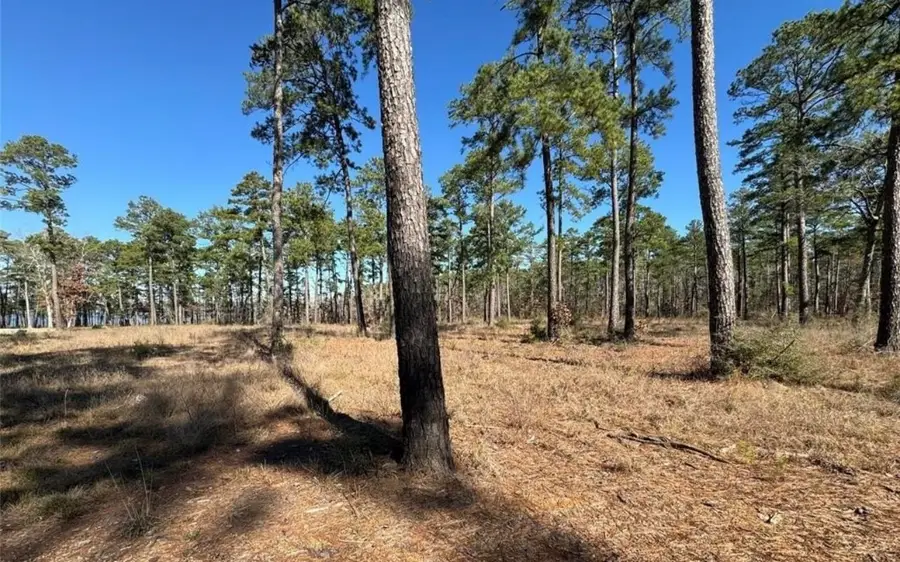 057 Pr 6028, Brookeland, TX 75931 - #3