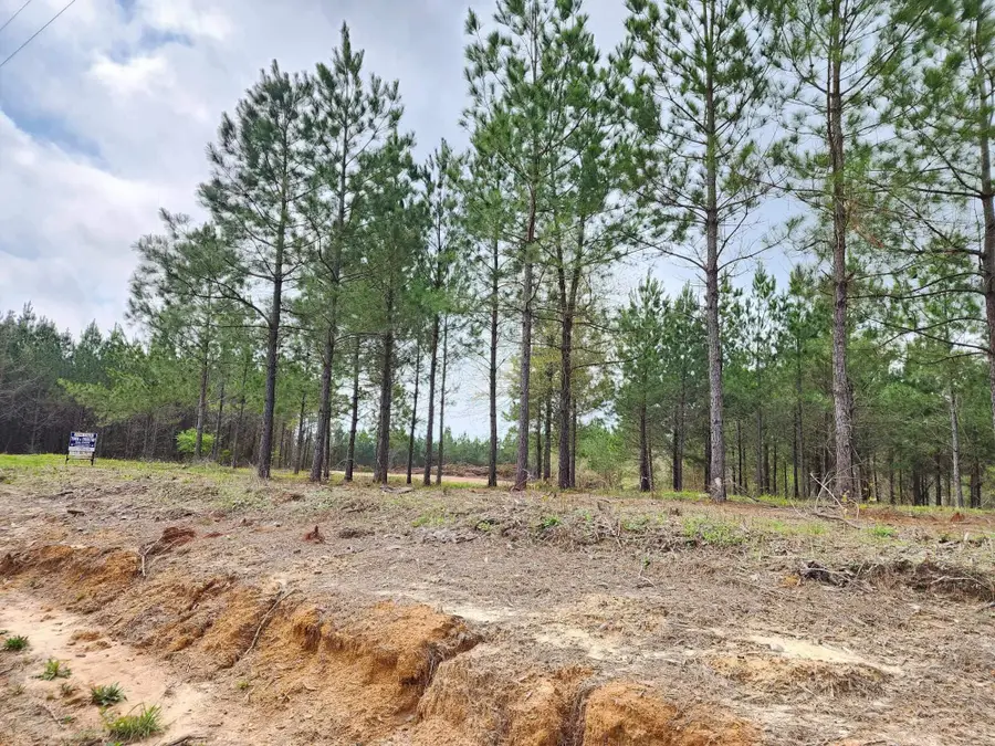 980 County Road 1060, Center, TX 75935 - Image #3