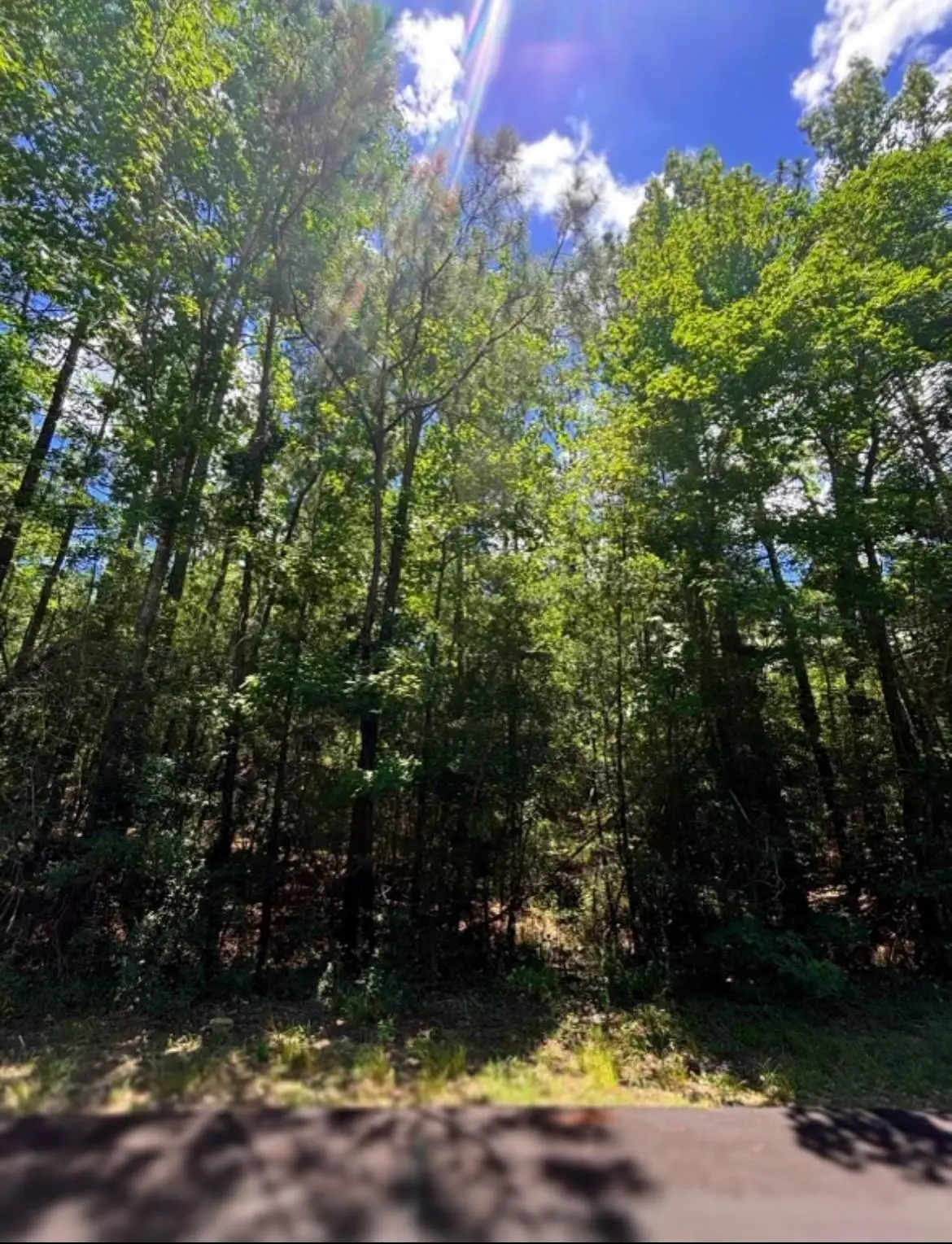 32763 Pinehurst, Brookeland, TX 75931 - Image #1