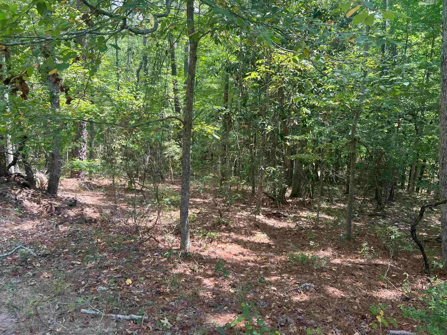 57 Shank Drive, Brookeland, TX 75931 - #3