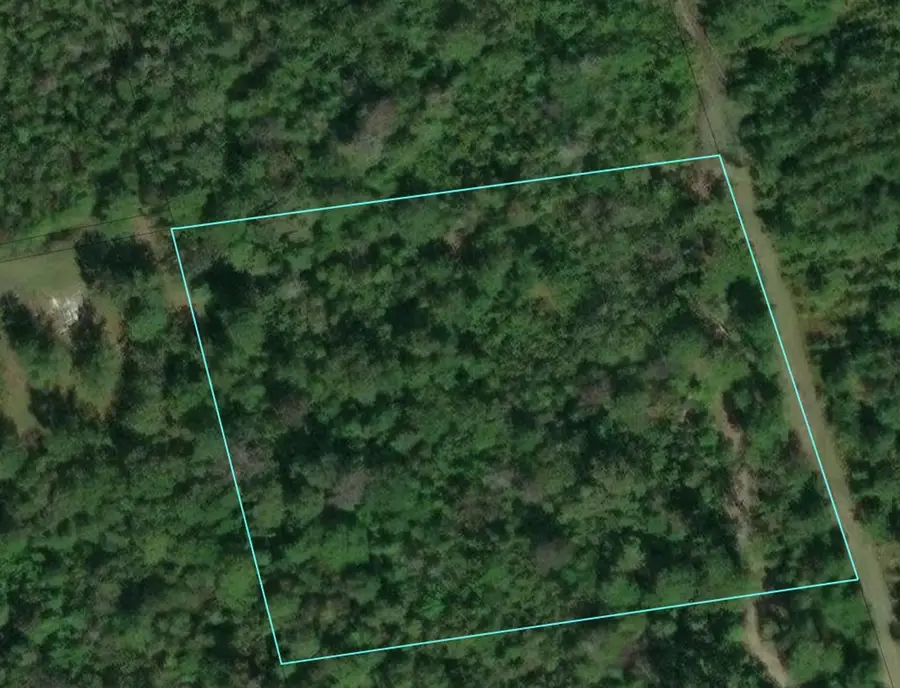 A16 TR 12-4 County Road 4060, Bon Wier, TX 75928 - Image #2