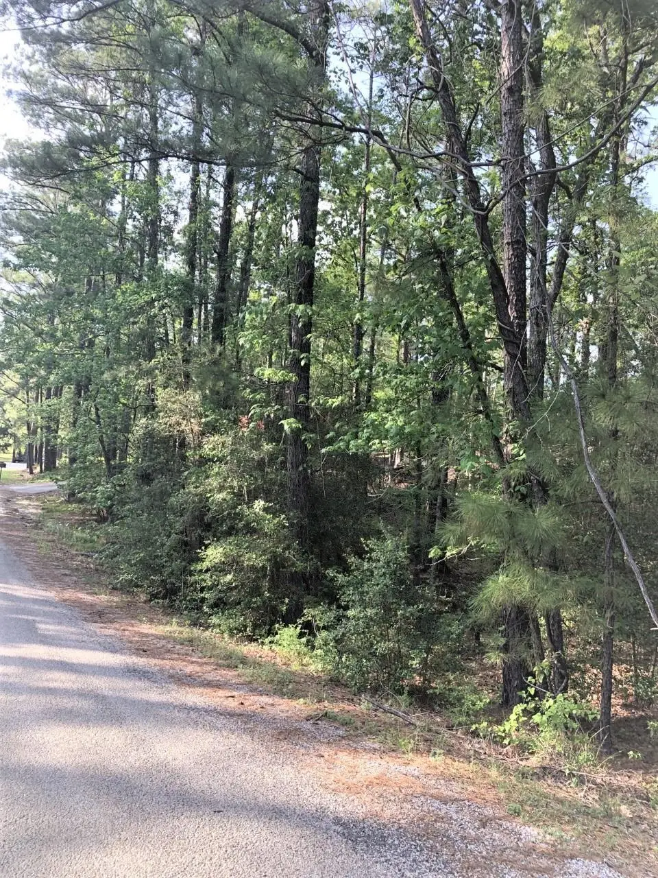 224 Piney Point, Brookeland, TX 75931 - Image #1