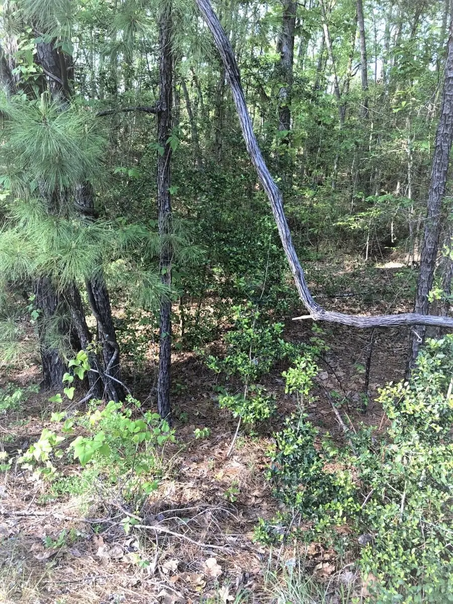 224 Piney Point, Brookeland, TX 75931 - Image #3