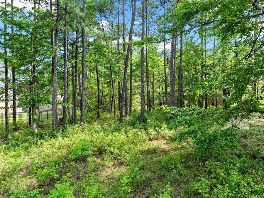 33386 Beachrock Dr, Brookeland, TX 75931 - Image #3