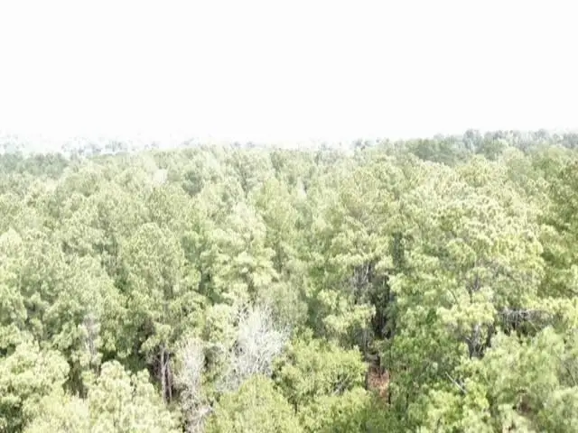 97825 TR PT 117 Hursey St, Jasper, TX 75951 - Image #2