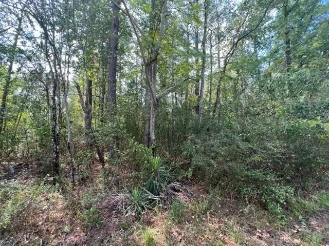 97825 TR PT 117 Hursey St, Jasper, TX 75951 - Image #3