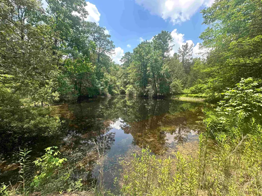 222 Cr 3085, Colmesneil, TX 75938 - #3