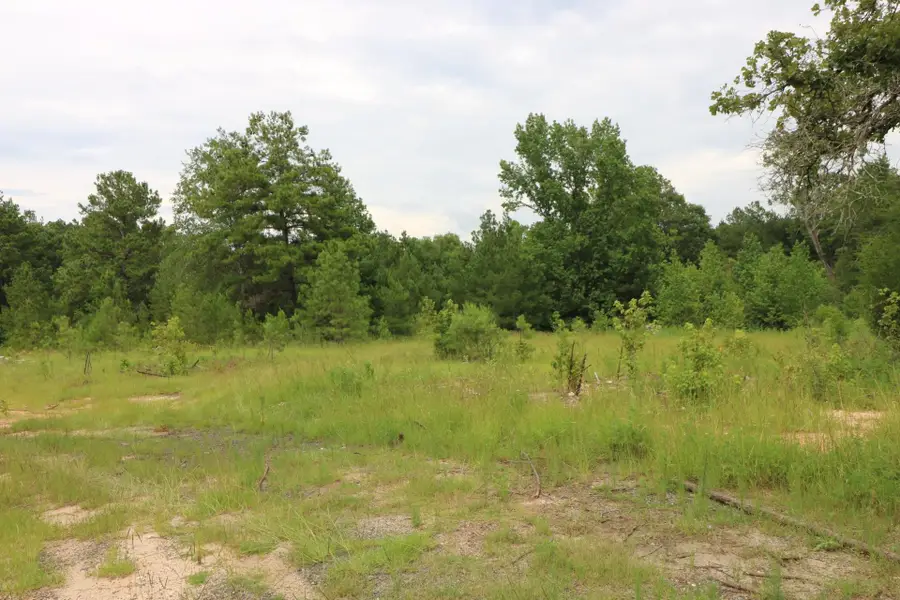 AB985 TR85 Co Rd 1028, Newton, TX 75966 - Image #2