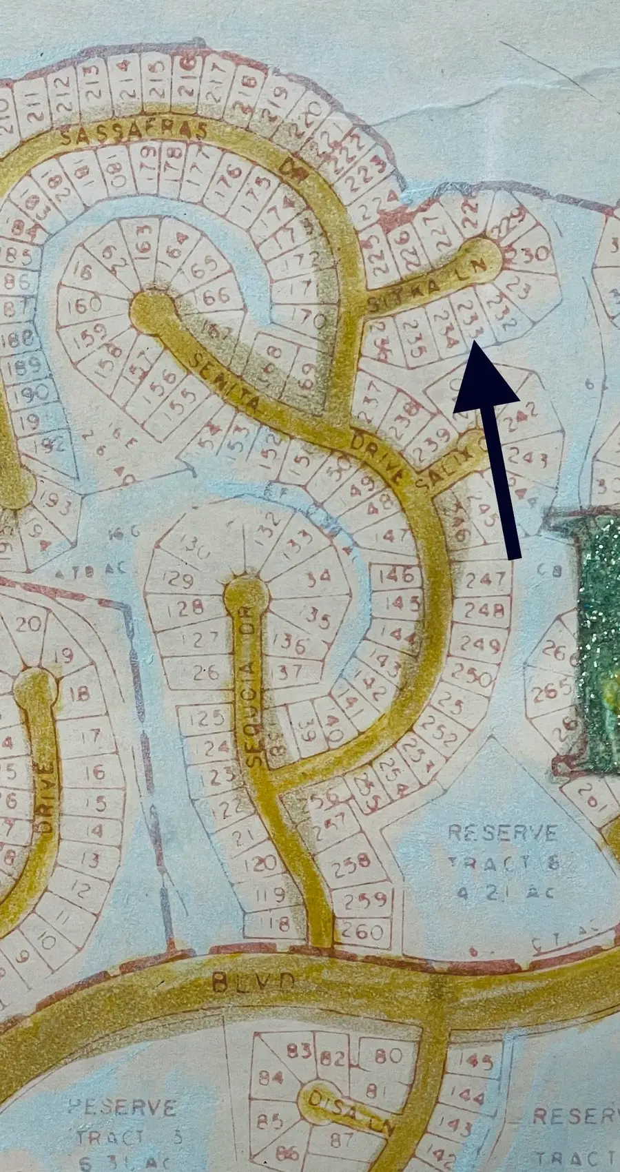 232 Sitka, Brookeland, TX 75931 - #2