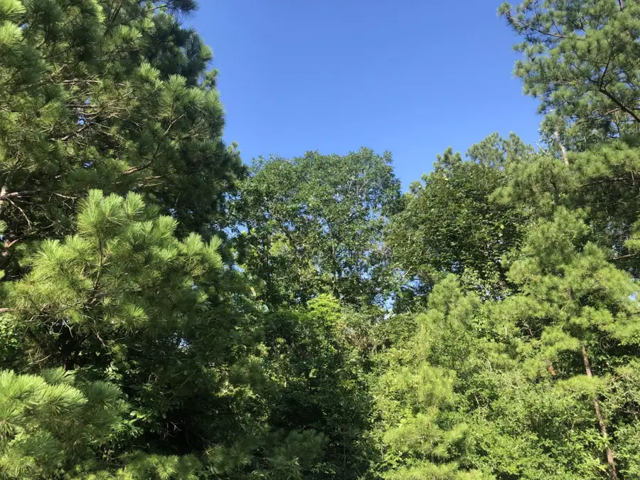 8835 S Hwy 96, Jasper, TX 75951 - Image #3