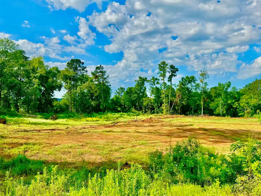 107 Old Tejas Trail West, Hemphill, TX 75948 - Image #2