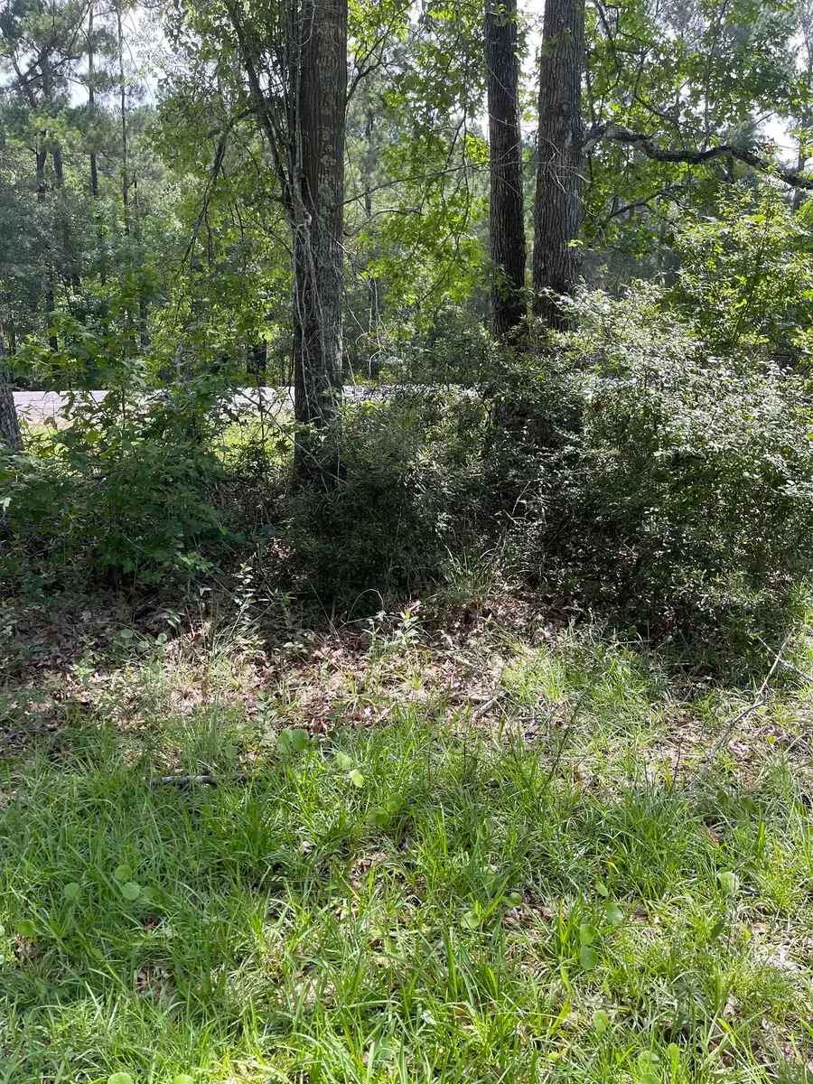 7522 Fm 2246, Buna, TX 77612 - Image #2