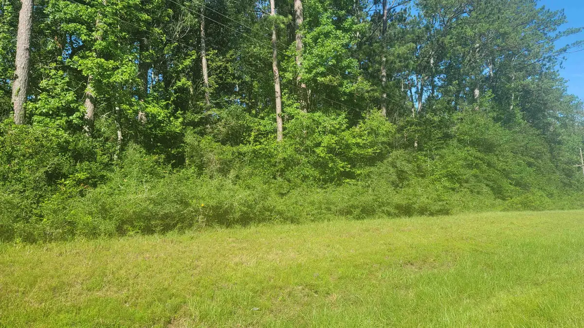 4012 E Highway 190, Newton, TX 75966 - Image #1