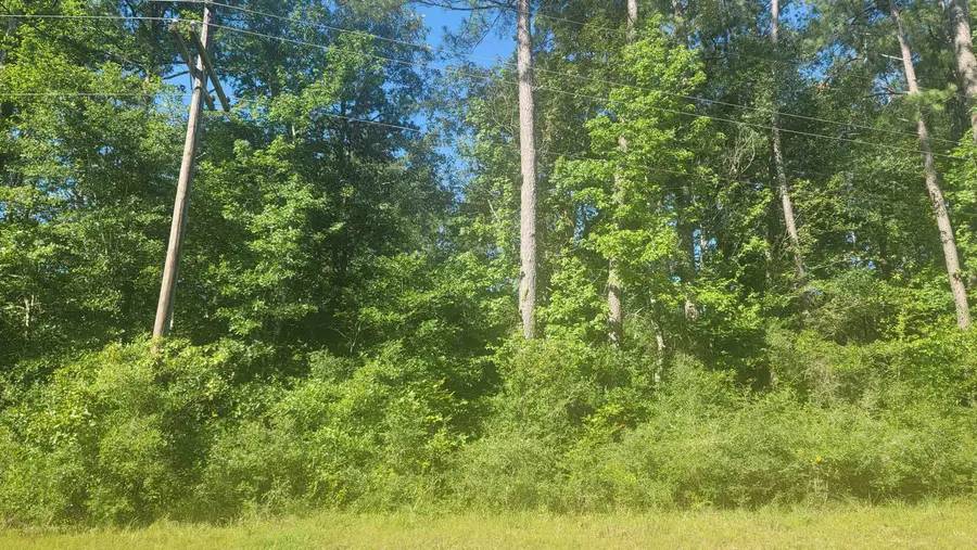 4012 E Highway 190, Newton, TX 75966 - Image #3