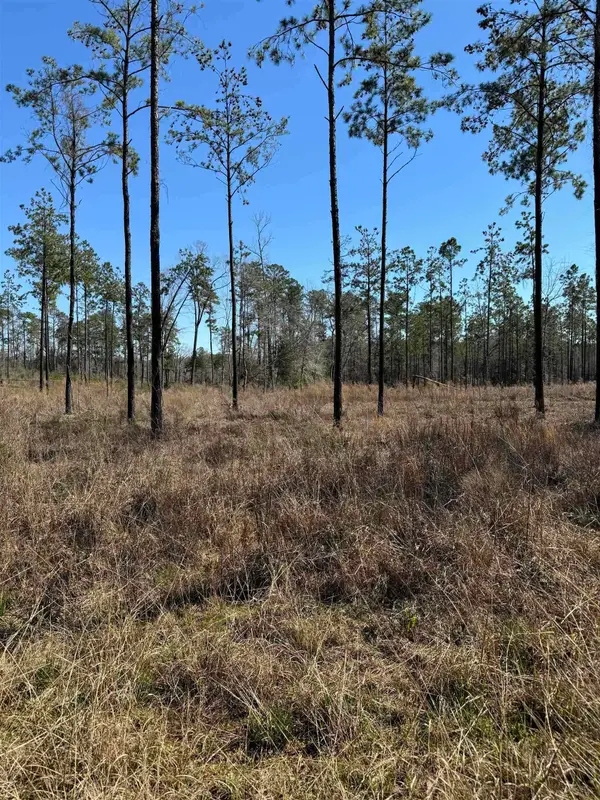 081 Pr 6026, Brookeland, TX 75931