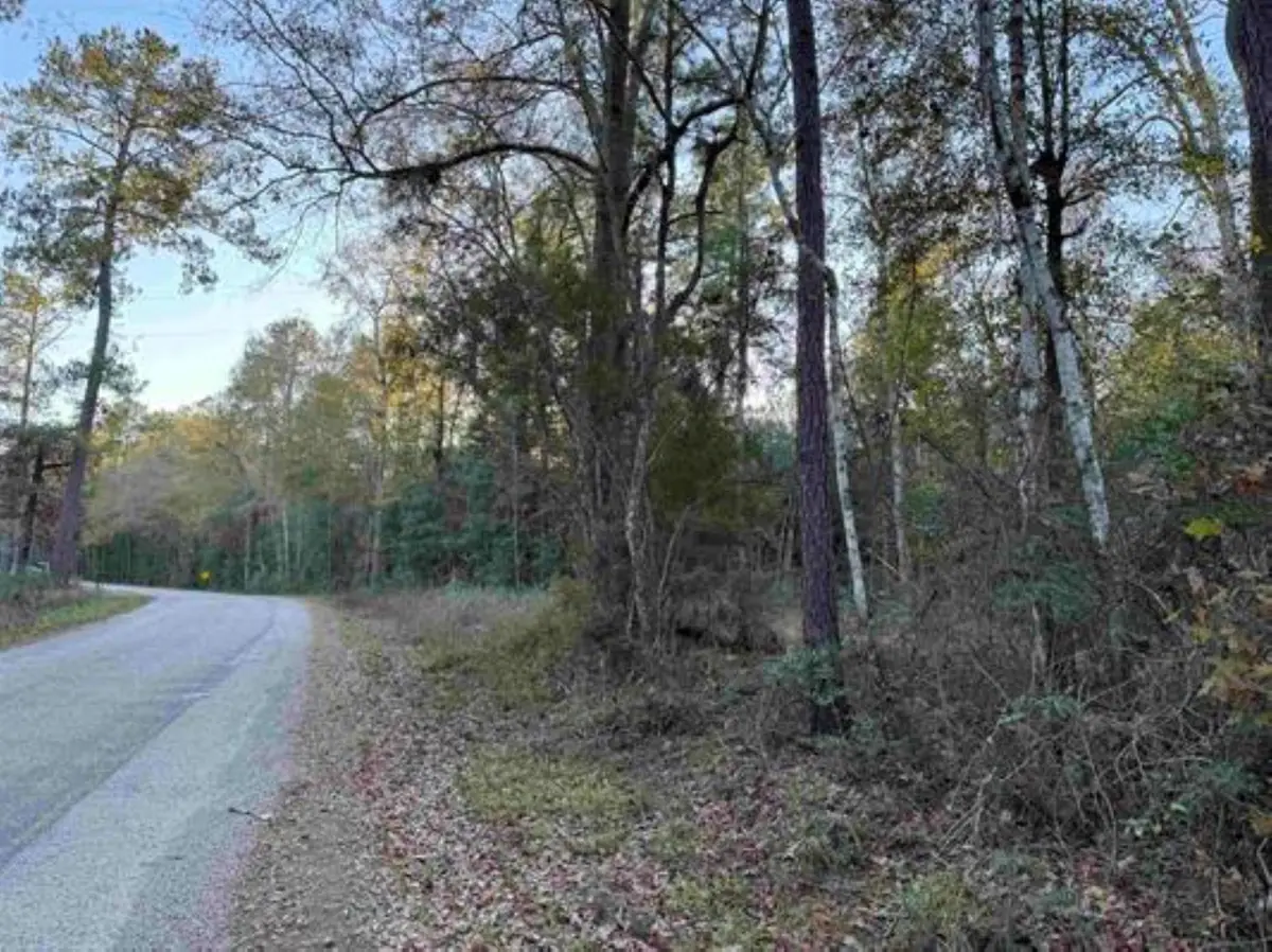 2700 Cr 443, Kirbyville, TX 75956 - Image #1