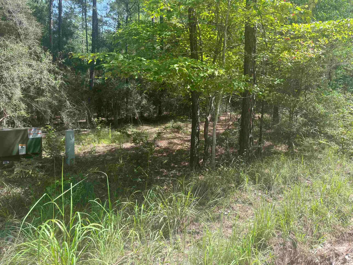 34301 Senita Dr, Brookeland, TX 75931 - Image #1