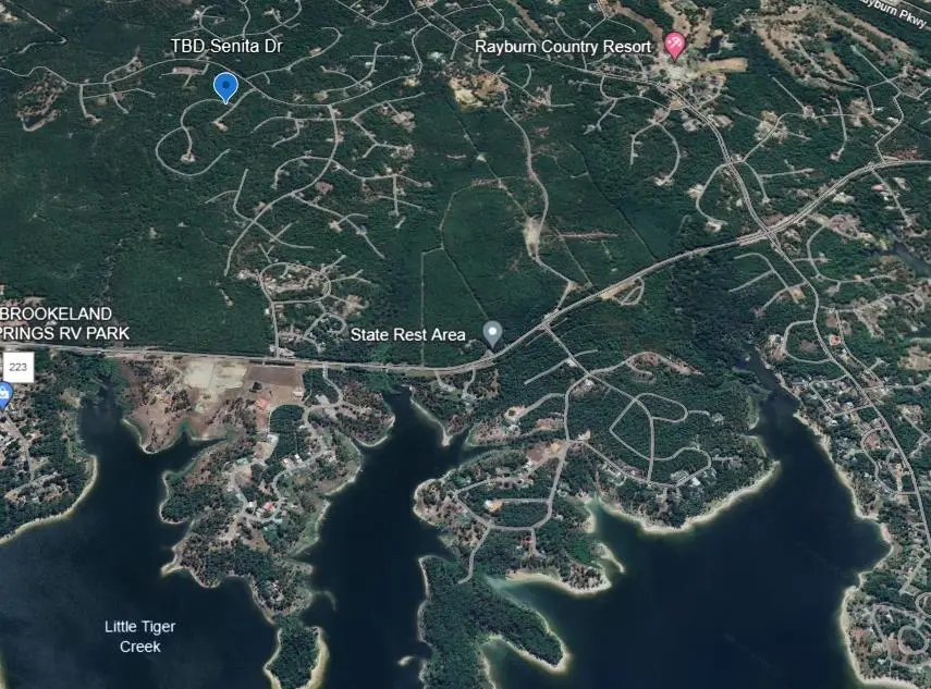 34301 Senita Dr, Brookeland, TX 75931 - Image #2