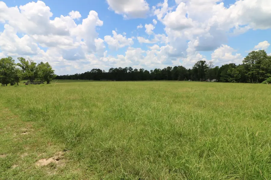 AB985 TR36-1 Co Rd 1028, Newton, TX 75966 - Image #3