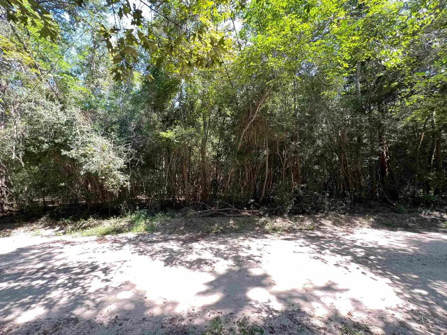 280 County Road 522, Kirbyville, TX 75956 - Image #2