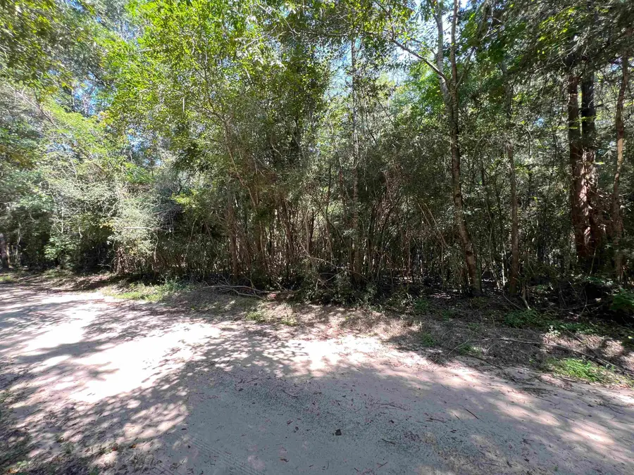 280 County Road 522, Kirbyville, TX 75956 - Image #3