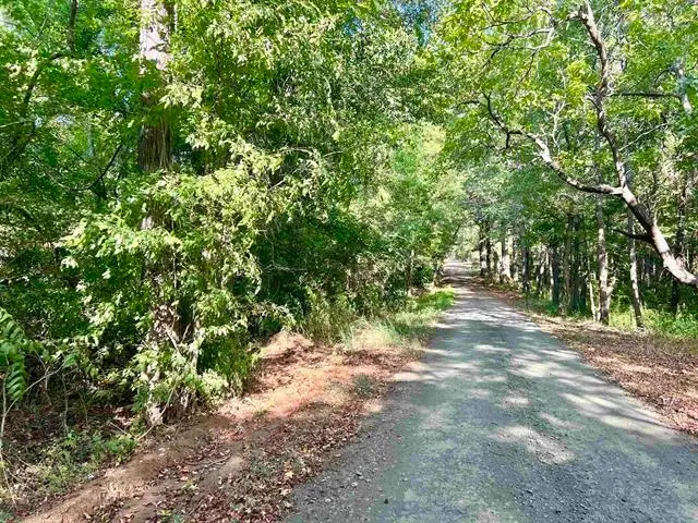 2260 Boyd Road, Bronson, TX 75930 - Image #3