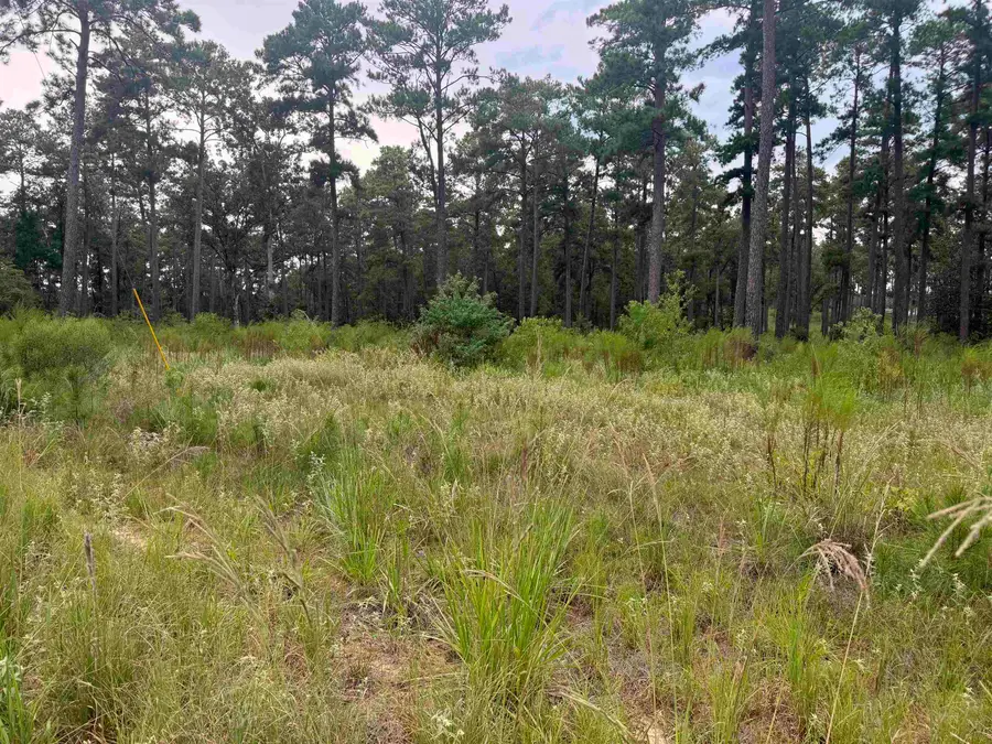 027 Pr 6028, Brookeland, TX 75931 - Image #3