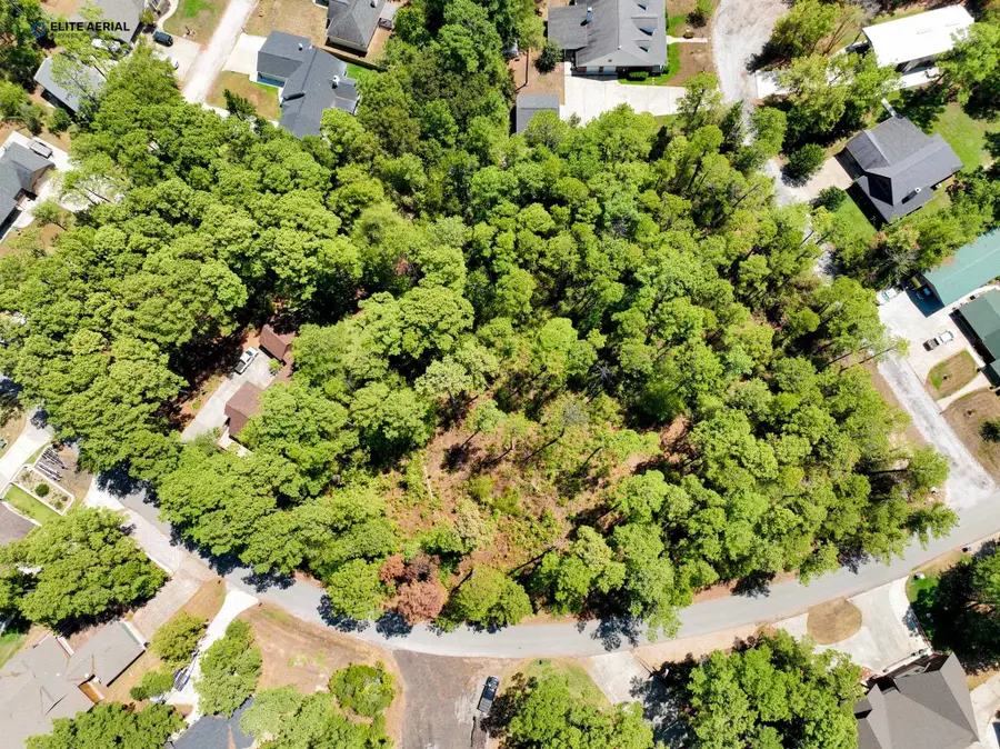 42 Beachrock Dr, Brookeland, TX 75931 - Image #3