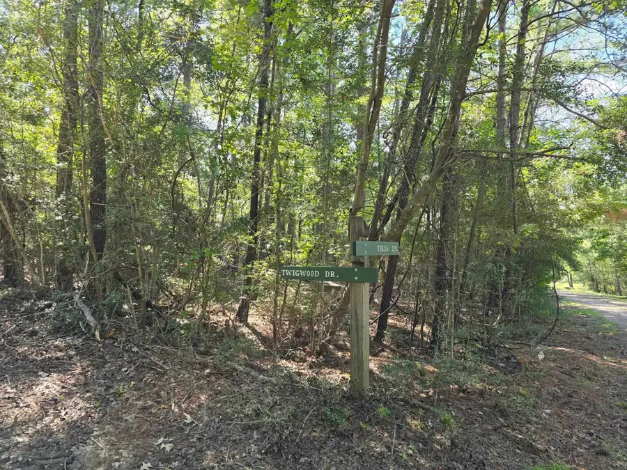 398 Twigwood Drive, Brookeland, TX 75931 - Image #2