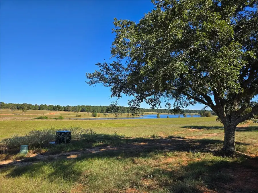 R375241 Lot 103 Lakeland Ranch, Hillister, TX 75979 - #2