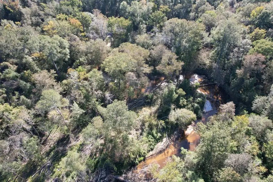 R113716 Cr 4050, Bon Wier, TX 75928 - Image #2