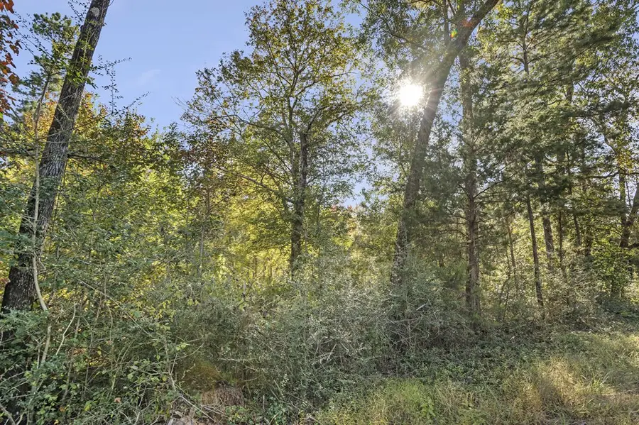 R32313 Sandy Creek Road, Zavalla, TX 75980 - Image #2