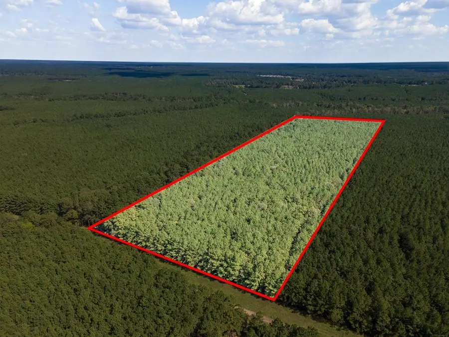 Parcel #28382 County Road 403, San Augustine, TX 75972 - Image #2