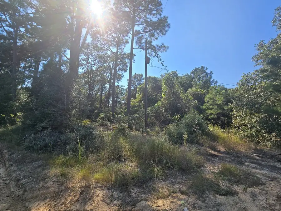 R20785 Cr 3325, Colmesneil, TX 75938 - #2