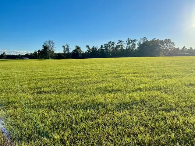 6055 Co Rd 2001, Newton, TX 75966 - Image #3